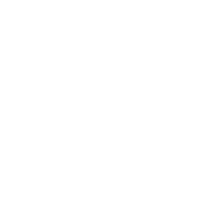 Car Diagnostic