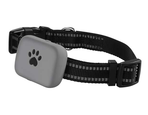 2G Super Mini IP67 Waterproof Best Pet Tracker Built-in 1000mAh Battery Long Standby GPS Tracking Anti-lost Pet Tracking Collar for Dogs and Cats A21P