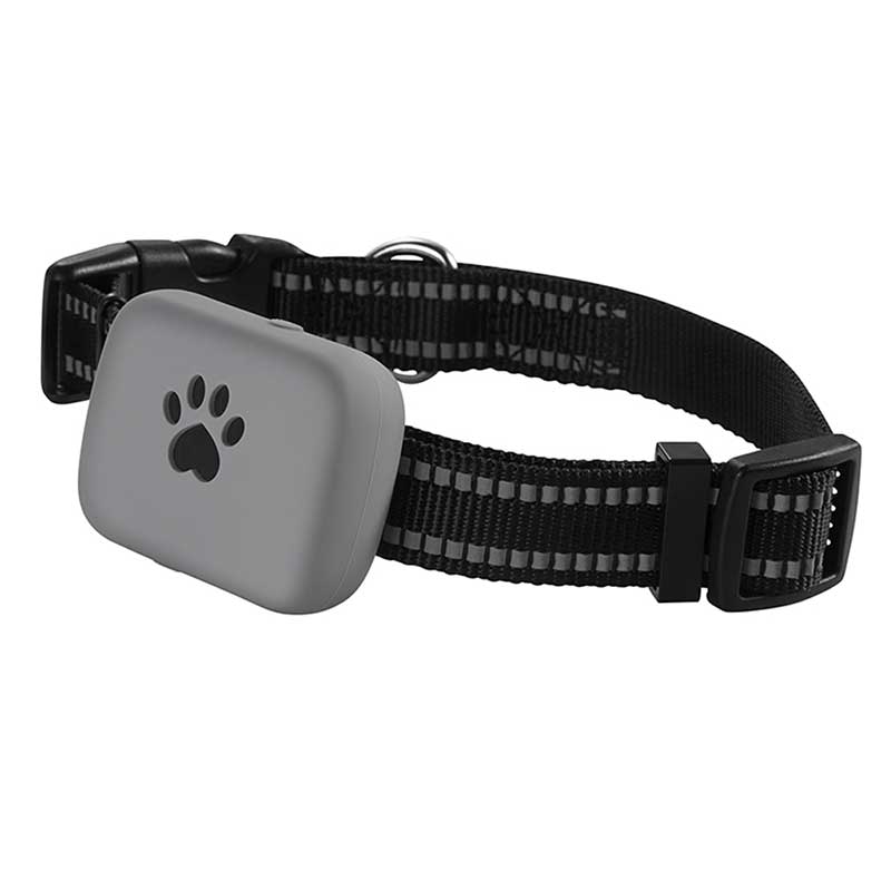 2G Super Mini IP67 Waterproof Best Pet Tracker Built-in 1000mAh Battery Long Standby GPS Tracking Anti-lost Pet Tracking Collar for Dogs and Cats A21P_1