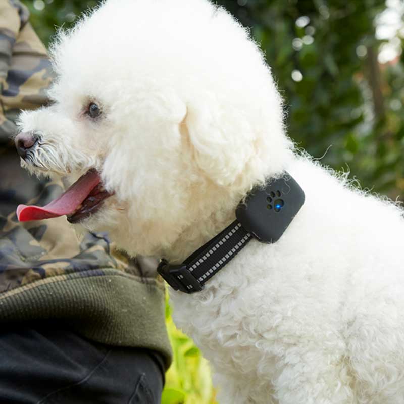 2G Super Mini IP67 Waterproof Best Pet Tracker Built-in 1000mAh Battery Long Standby GPS Tracking Anti-lost Pet Tracking Collar for Dogs and Cats A21P_4