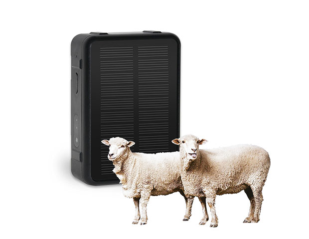 4G Solar Livestock GPS Tracker V24 | 4000mAh IP67 Cattle Sheep Horse Anti-Lost Tracking Collar