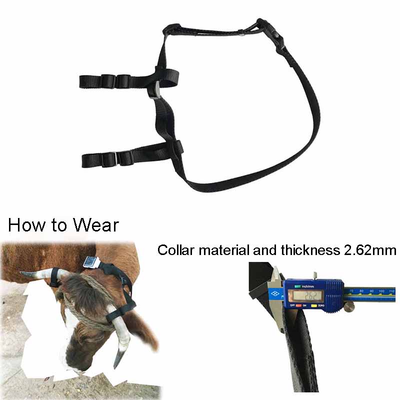 4G Solar Livestock GPS Tracker V24 | 4000mAh IP67 Cattle Sheep Horse Anti-Lost Tracking Collar_6