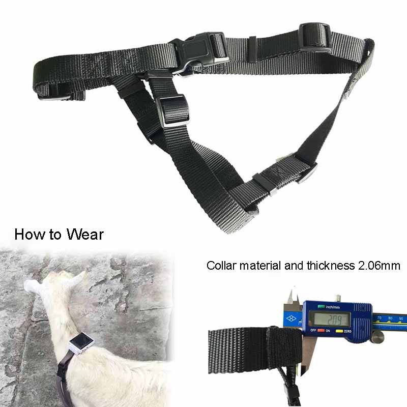 4G Solar Livestock GPS Tracker V24 | 4000mAh IP67 Cattle Sheep Horse Anti-Lost Tracking Collar_7