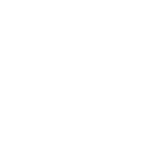 ico-whatsapp